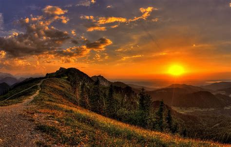 Wallpaper the sky, grass, the sun, clouds, rays, trees, landscape, sunset, flowers, mountains ...