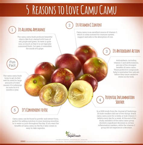 5 Reasons to Love Camu Camu Superfood Infographic