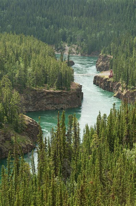 Yukon River, Miles Canyon Foot Bridge Photograph by John Elk Iii | Fine Art America