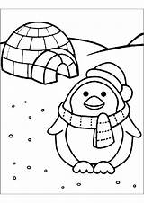 Penguin And igloo  Penguins Coloring Pages sketch template