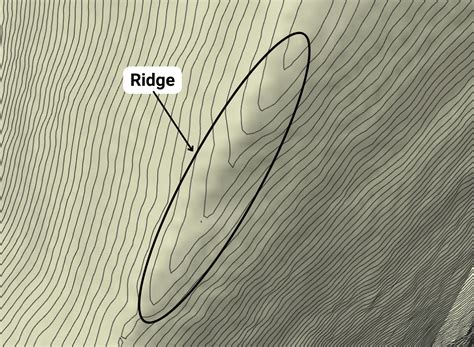 Features of a Topographic Map - Ridge : r/equatortutorials