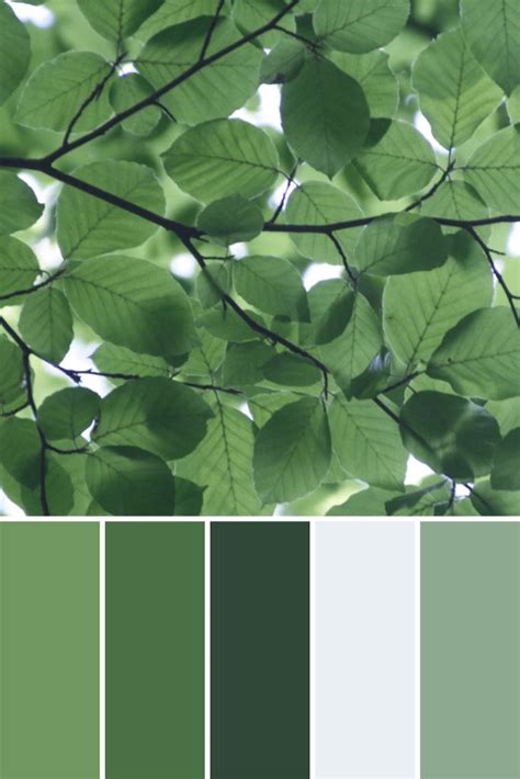 Spring Color Palettes - This Growing Home | Green color pallete, Spring color palette, Nature ...