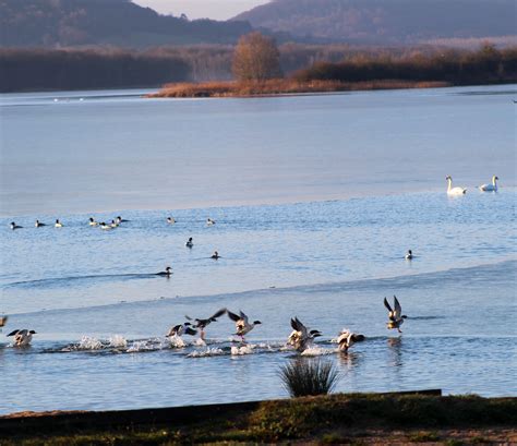 Idée vacances en France : le lac de Madine en Lorraine