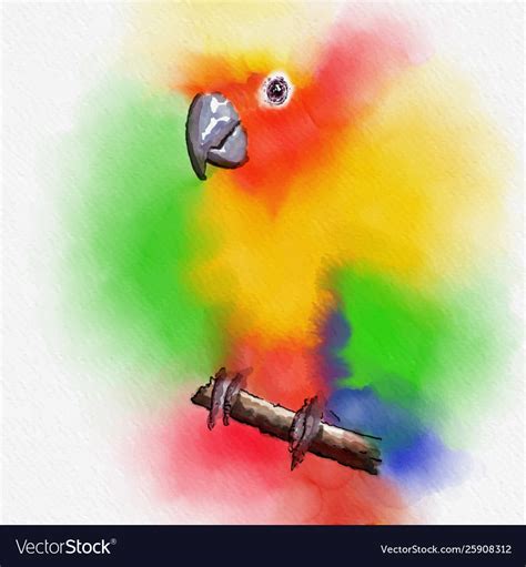 Colorful bird watercolor painting on art Vector Image