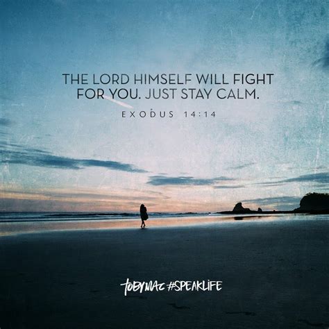 The Lord himself will fight for you. Just stay calm | Tobymac speak life, Speak life, Good day ...