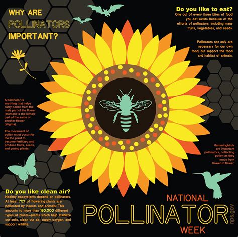 Operation Pollination | Arabia Mountain National Heritage Area