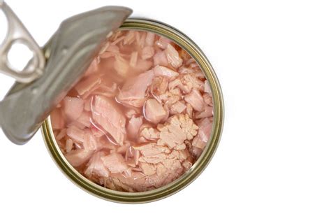 Canned Tuna Fish with copy space above white background (Flip 2019 ...