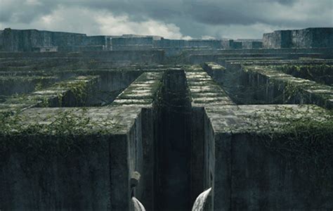 Animated gifs for the movie "Maze Runner" on Behance