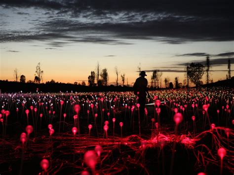 A Field of Light at Uluru | Travel Insider