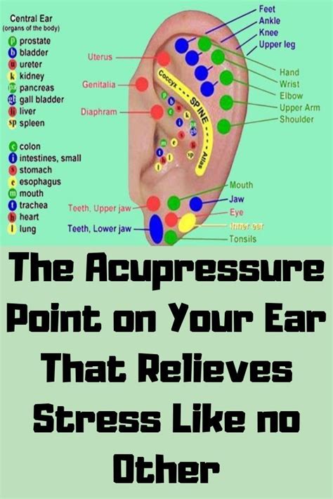 The Acupressure Point on Your Ear That Relieves Stress Like no Other | Healthy Green 102