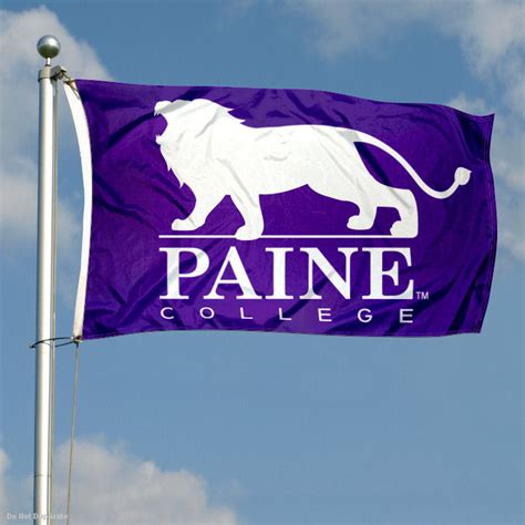 Paine Lions Lion Logo Flag - State Street Products