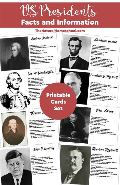 US Presidents Facts & Information {Printable Cards} - Thrifty Homeschoolers