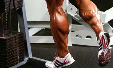 Smith Machine Standing Calf Raise - Bodybuilding Wizard