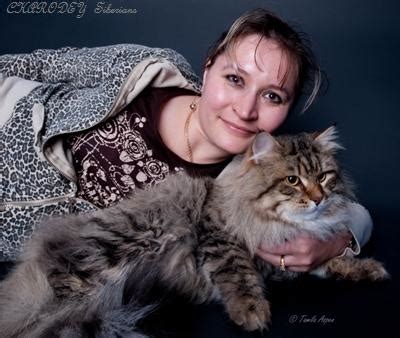 Siberian Cats — "Charodey" Cattery :: About Our Cattery