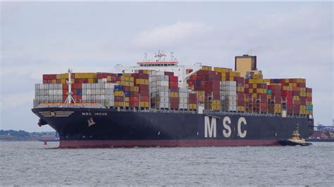 Msc, Irene, Port, Ship, Ships