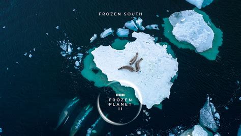 Frozen Planet II | BBC Earth | BBC Asia