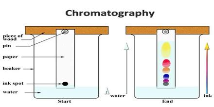 Introduction of Partition Chromatography - Assignment Point