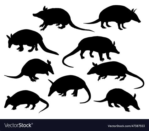 Armadillo silhouette bundle Royalty Free Vector Image