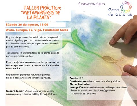 Metamorfosis de la planta - Curso Taller - Fundación Sales