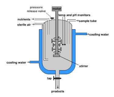 Biology GCSE Revision: 5.8 interpret and label a diagram of an industrial fermenter and explain ...