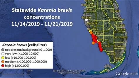 Red tide map latest | wtsp.com