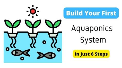 15 Best Plants For Aquaponics System [Easy To Grow Veggies]