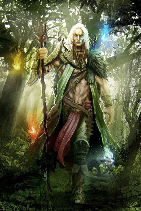 Druid | DnD Info Wikia | Fandom