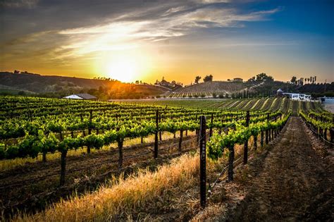 Weekend Wine Tasting in Temecula Valley Wine Country | LaptrinhX / News