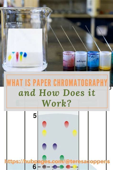 What Is Paper Chromatography and How Does It Work? | Paper chromatography, Elementary chemistry ...