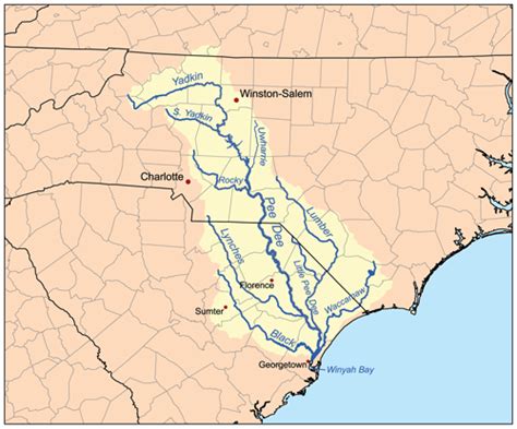 Waccamaw River | American Rivers