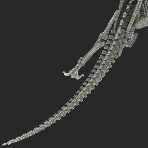 Dinosaur T-Rex Bones 3D Model $99 - .c4d .max .obj .lwo .3ds .ma - Free3D