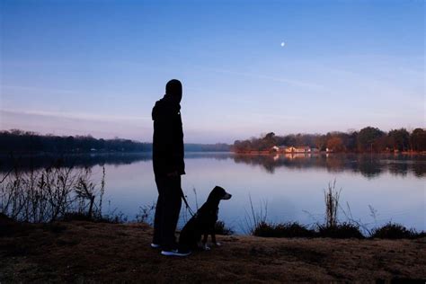 The 9 Best Products for Walking Your Dog at Night | PawLeaks