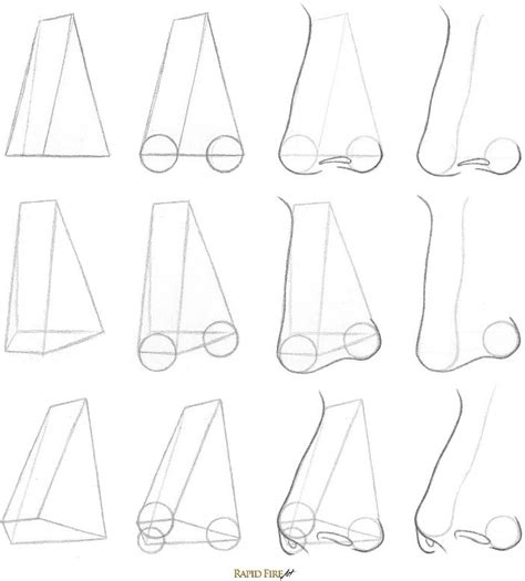 drawing noses from different angles - famouspaintingsinthewhitehouse