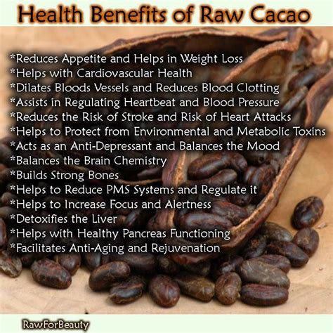 Raw cacao powder is unadulterated and contains many more nutrients than ...