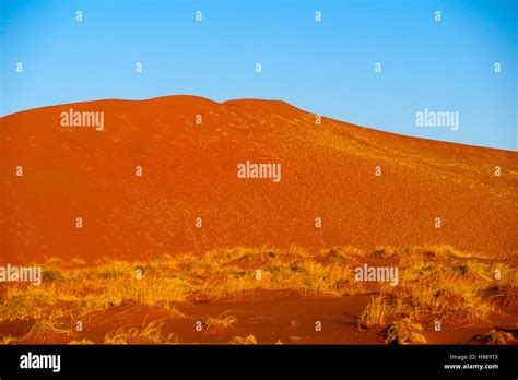 Namib desert landscape, Namibia Stock Photo - Alamy