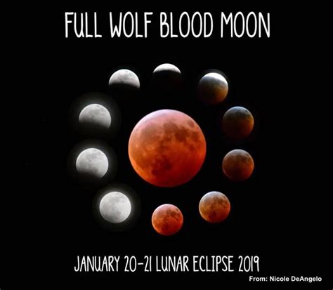 10 Lunar Eclipse 2019 Photos Of The Super Wolf Blood Moon – Just In Weather