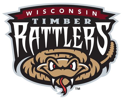 Wisconsin Timber Rattlers Baseball Game | Tuesdays Children