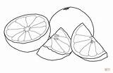 Grapefruit coloring page  Free Printable Coloring Pages sketch template