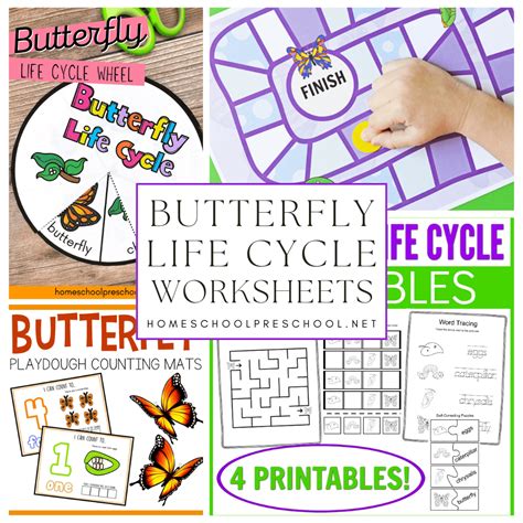 Butterfly Life Cycle Worksheets | Free Downloads for Kids