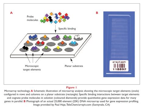 Better drugs by MICROARRAY - Drug Discovery World (DDW)