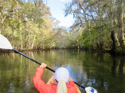 Kayaking with the Manatees – Manatee Springs State Park – Joyride: Our Adventures Spending the ...