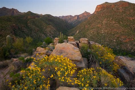 Sabino Canyon Recreation Area | Photos by Ron Niebrugge