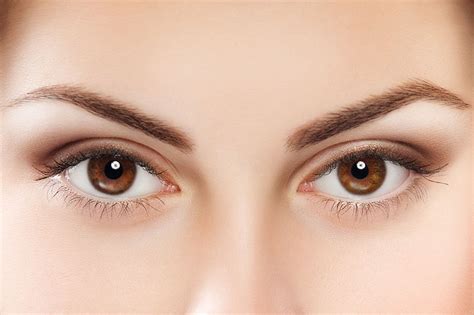 Eyebrow Transplant Facts to Know