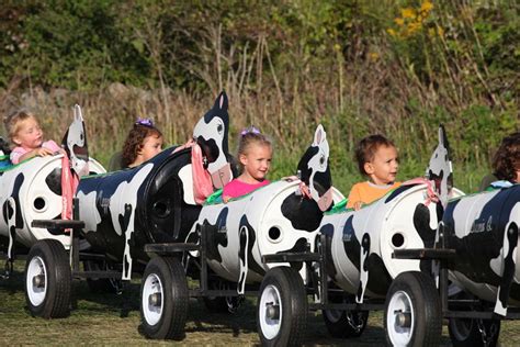 Cow Train | The Great Pumpkin Farm