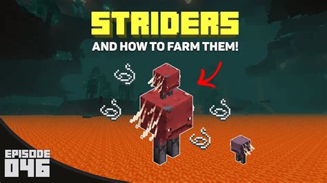 Strider Farm Minecraft Tutorial For Minecraft 1.16 (How to Make ...