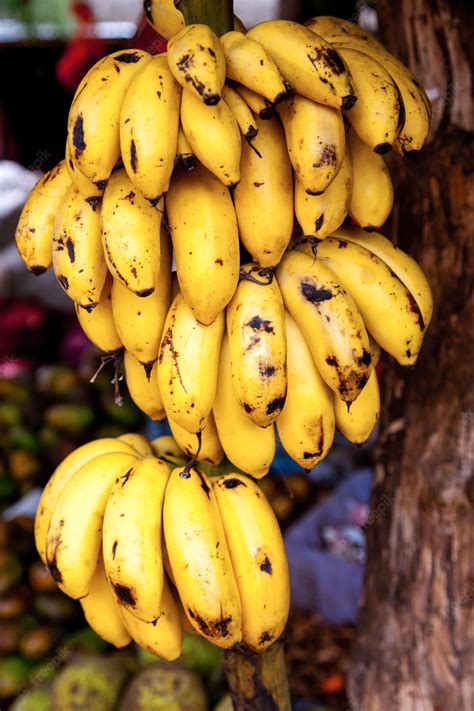 Premium Photo | Banana bunch