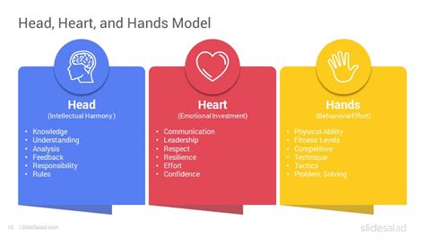 Head Heart and Hands Model PowerPoint Template - SlideSalad