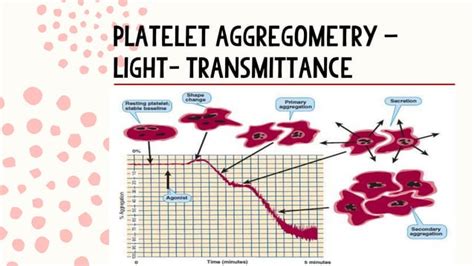 Classification of Thrombocyte Disorders Using Platelet Aggregation ...