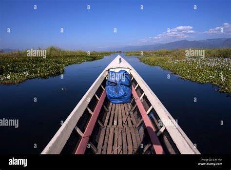 Boat trip on Inle Lake, floating gardens on both sides, Inle Lake, Shan ...