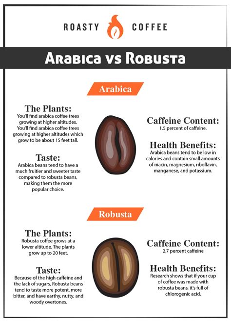 Arabica vs Robusta Coffee Beans: Unmasking the Taste Difference